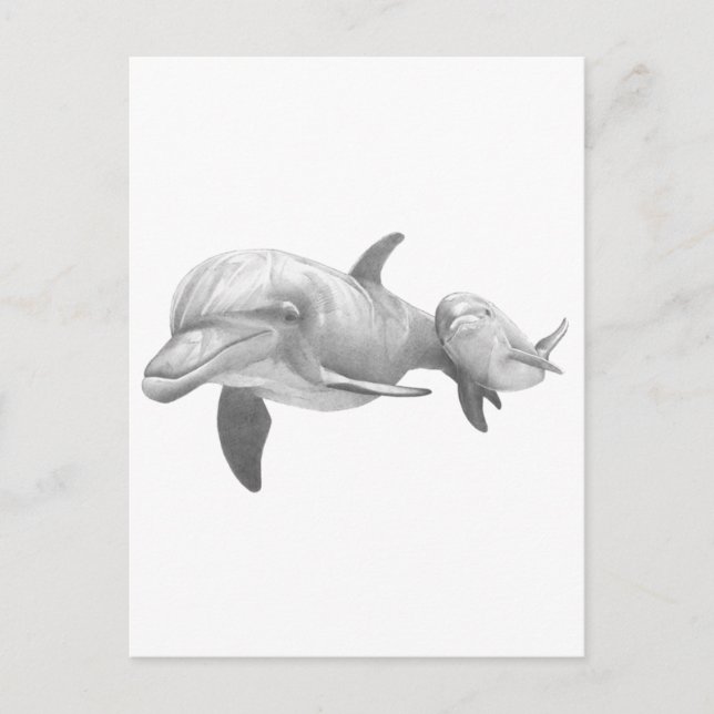 CARTE POSTALE MÈRE DOLPHINS AIME (Devant)