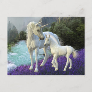Carte Postale Mère enchantée licorne et bébé poulain