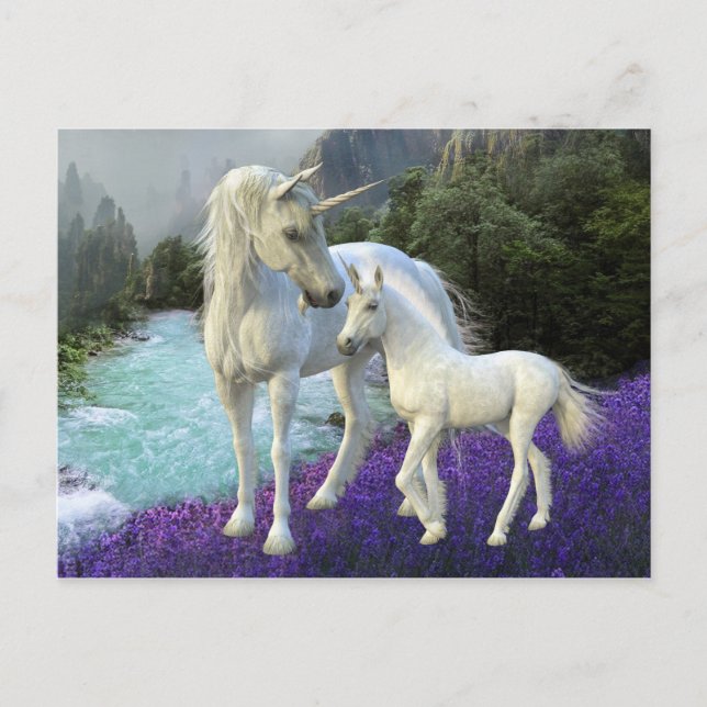 Carte Postale Mère enchantée licorne et bébé poulain (Devant)