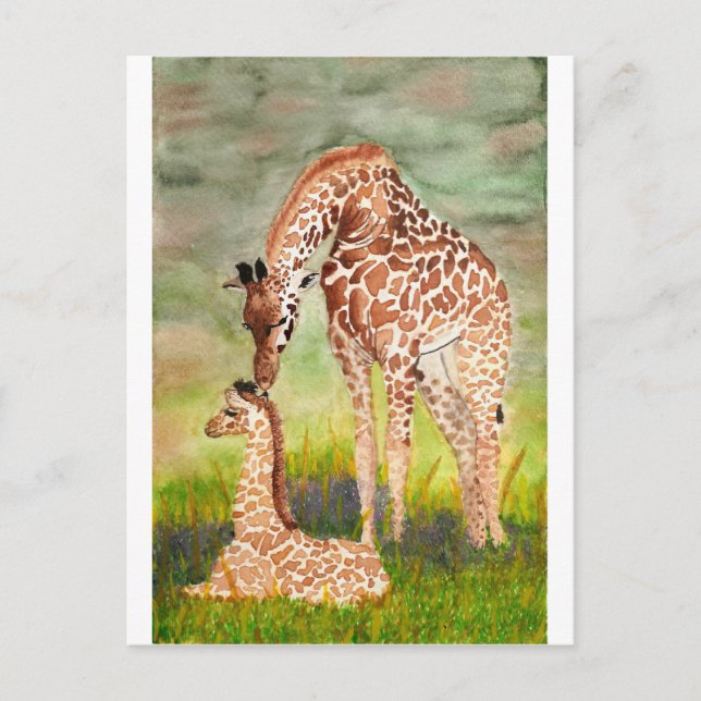 Carte Postale Mère et bébé Giraffes (Devant)