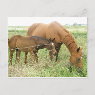 Carte Postale Mère et enfant