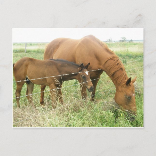 Carte Postale Mère et enfant (Devant)