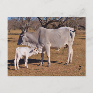 Carte Postale Mère et enfant