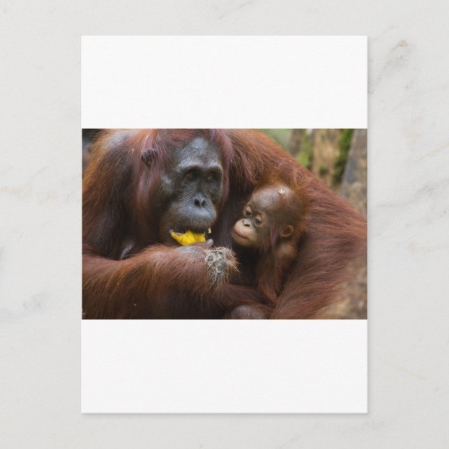 Carte Postale Mère et fils (Devant)