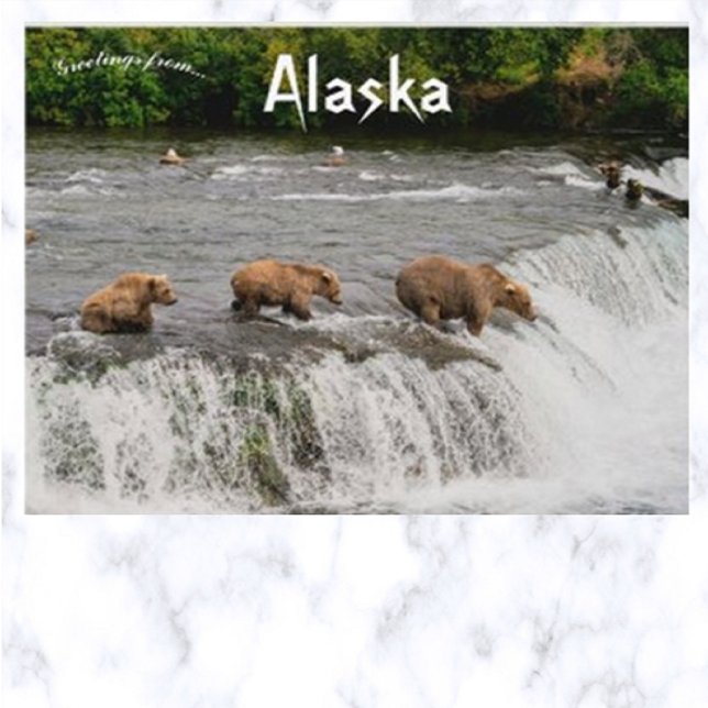 Carte Postale Mère et ours Cubs Pêche en Alaska (Créateur téléchargé)