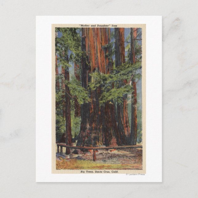 Carte Postale "Mère" & "Fille" à Big Trees Park (Devant)