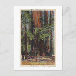 Carte Postale "Mère" & "Fille" à Big Trees Park