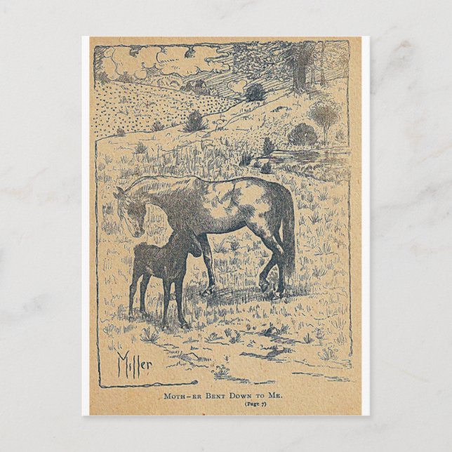 Carte Postale Mère penchée vers moi Black Beauty (Devant)