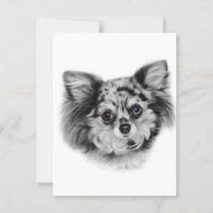Carte Postale Merle Beauté - Peint à la main Chihuahua Portrait