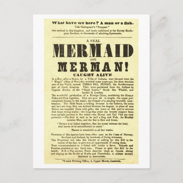 Carte Postale Mermaid Vintage Afficher l'affiche Oddity (Devant)