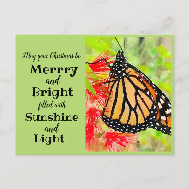 Carte Postale Merry Christmas Sunshine Monarch Butterfly (Devant)