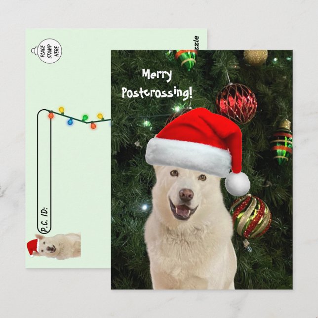 Carte Postale Merry Postcroisement de Crystal le chien Husky (Devant / Derrière)