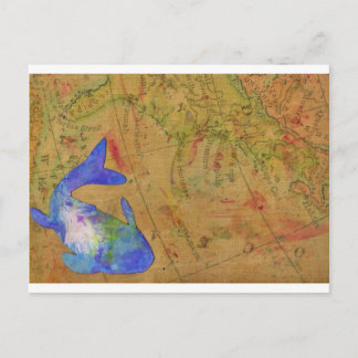Carte Postale Mers Connues