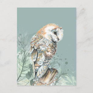 Carte Postale Merveilleuse Barne Owl Bird Wildlife Art