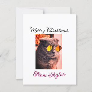 Carte Postale Merveilleux chien de chat de Noël animal de compag