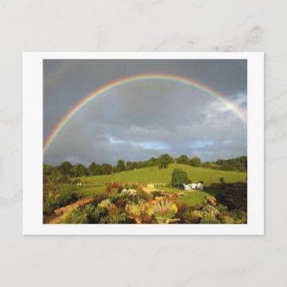 Carte Postale Merveilleux Jour