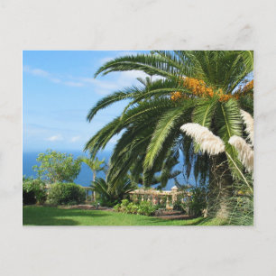 Carte Postale Merveilleux Tenerife
