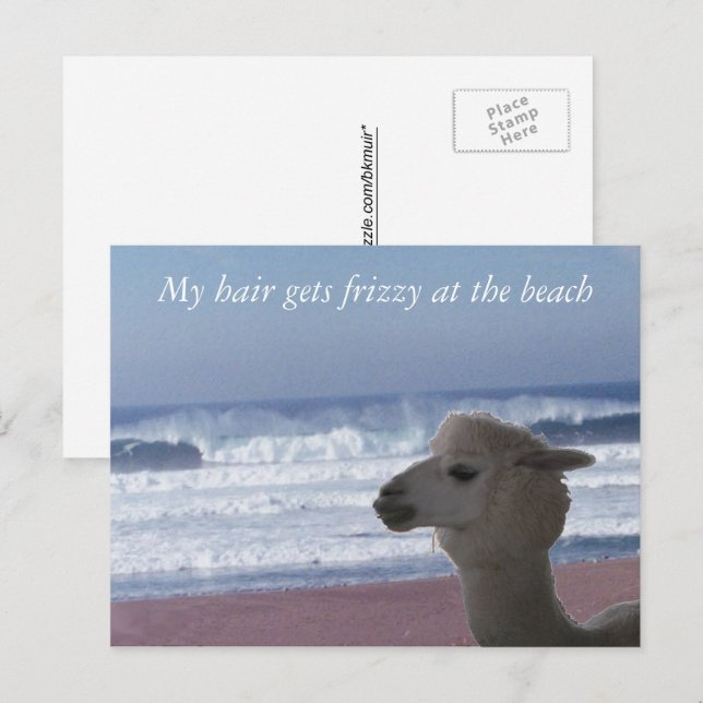 Carte postale - Mes cheveux frisent ... (Devant / Derrière)