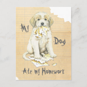Carte Postale Mes Grands Pyrénées Mangent Mes Devoirs