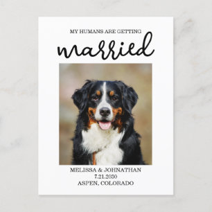 Carte Postale Mes Humains Se Marient Chien Enregistrer la date