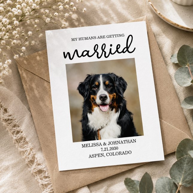 Carte Postale Mes humains se marient | Chien Save the Date  (My Humans Are Getting Married | Dog Save the Date Postcard)