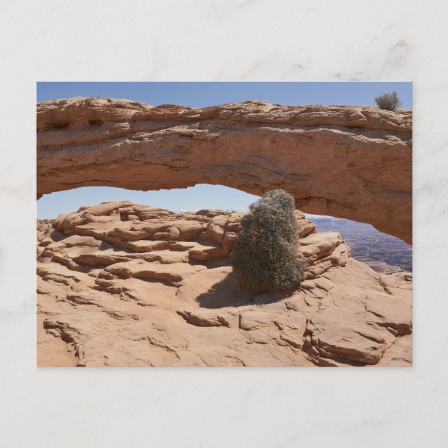Carte Postale Mesa Arch et Tumbleweed à Canyonlands (Devant)