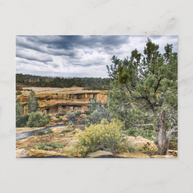 Carte Postale Mesa Verde Cliff Logements (Devant)