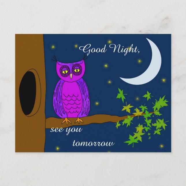 Carte postale Message de Bonne Chouette de nuit (Devant)