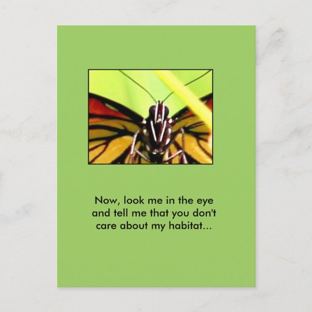 Carte Postale Message de Monarch (Devant)