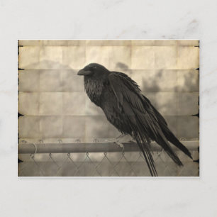 Carte Postale Messenger (Vintage)