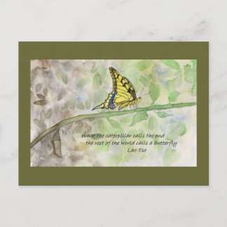 Carte postale Metamorphosis_2