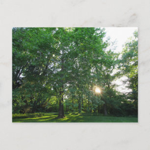 Carte Postale Metropark de Inniswood Gardens, Westerville, Ohio