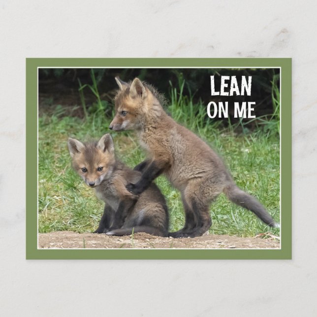 Carte Postale Mettre le texte sur moi (Devant)