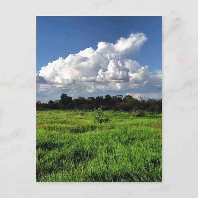 Carte Postale #mexico #losaltos #jalisco (Devant)