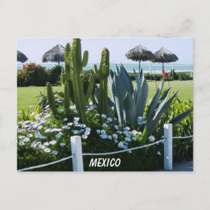 CARTE POSTALE MEXIQUE