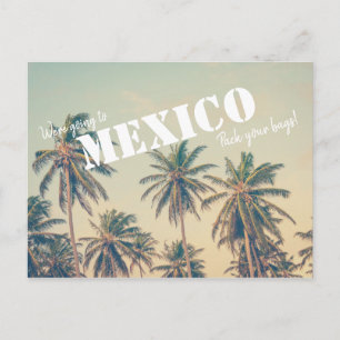 Carte Postale Mexique Beach Palm Tree Sauvons les dates