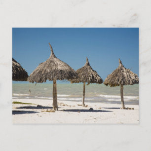 Carte Postale Mexique, péninsule du Yucatan, Progreso. Chaume