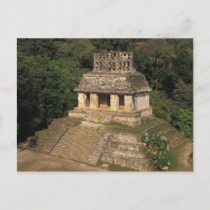 Carte Postale Mexique, province du Chiapas, Palenque, Temple de
