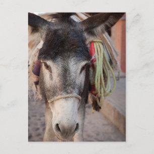 Carte Postale Mexique, San Miguel De Allende 2