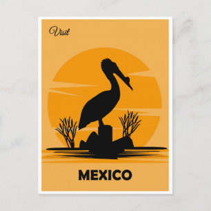 Carte Postale Mexique Vintage Mexique Pélican Voyage