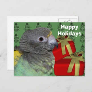 Carte postale Meyers Parrot Christmas Holiday
