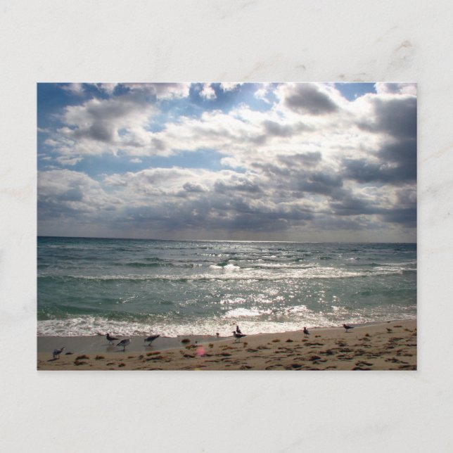 Carte Postale Miami (Devant)