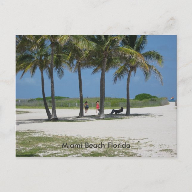 Carte Postale Miami Beach Floride (Devant)