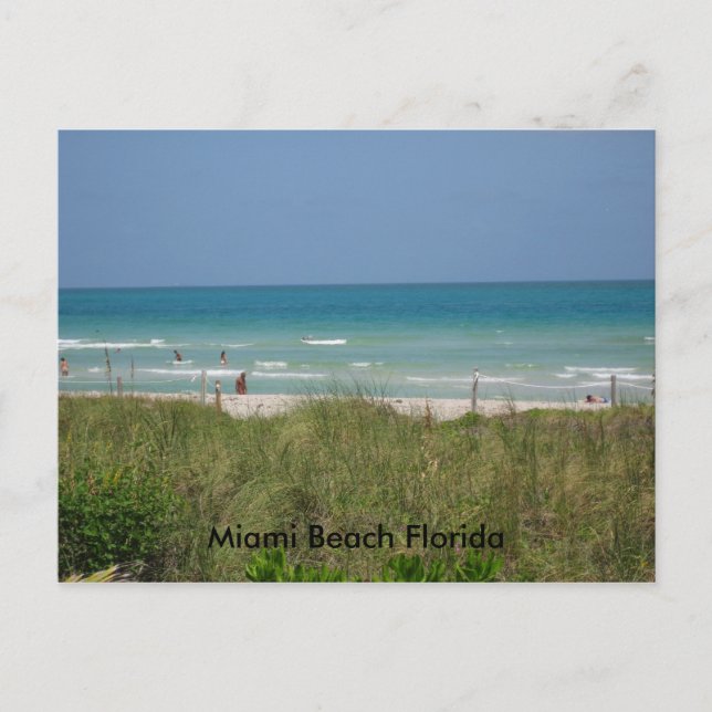 Carte Postale Miami Beach Floride (Devant)