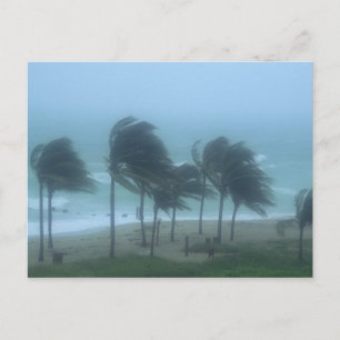 Carte Postale Miami Beach, Floride, vents d'ouragan fouettant