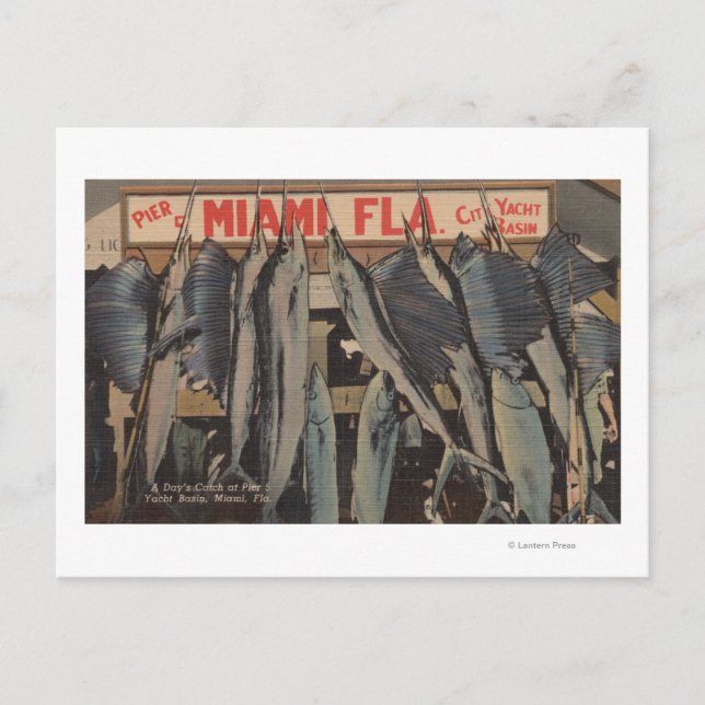 Carte Postale Miami, FL - Vue sur Pier 5 City Yacht Club avec/ (Devant)