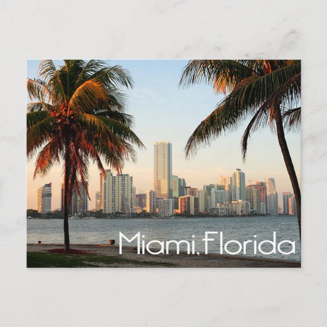 Carte Postale Miami Florida Skyline et Harbour At Night - USA (Devant)