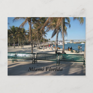 Carte Postale Miami Floride