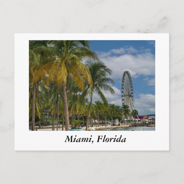 Carte Postale Miami Floride et Biscayne Bay (Devant)
