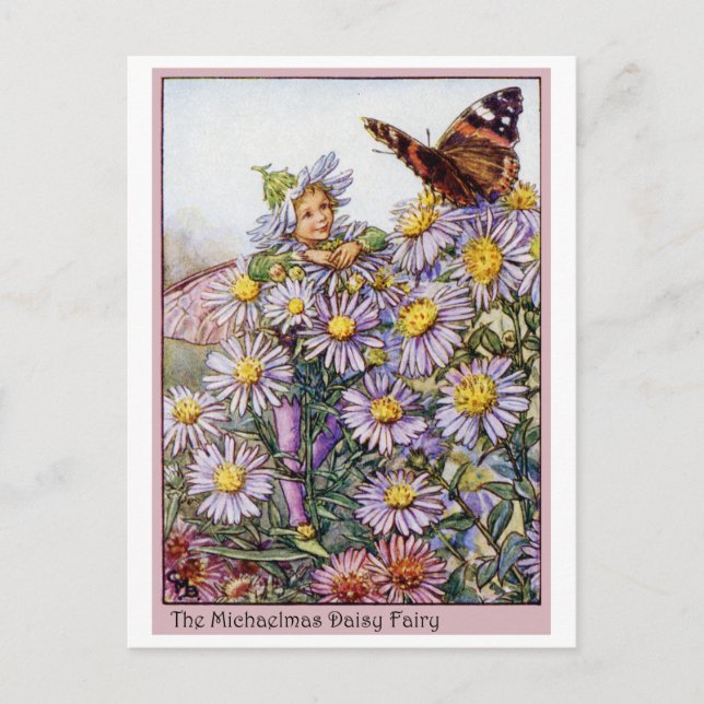 Carte Postale Michaelmas Daisy Fairy (Devant)